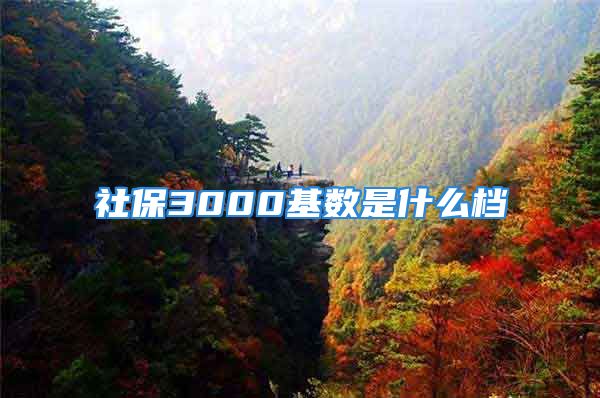 社保3000基数是什么档