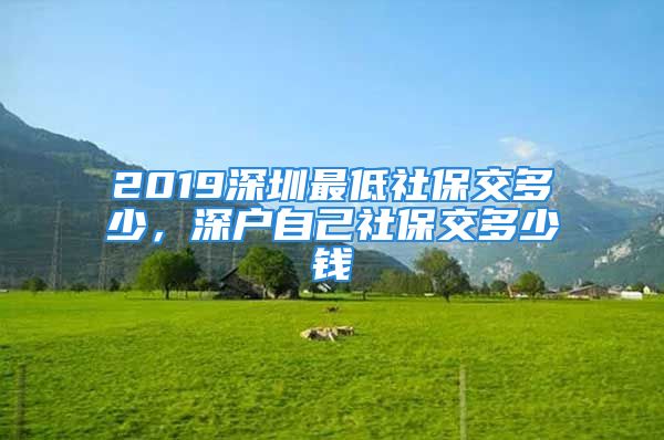 2019深圳最低社保交多少，深户自己社保交多少钱