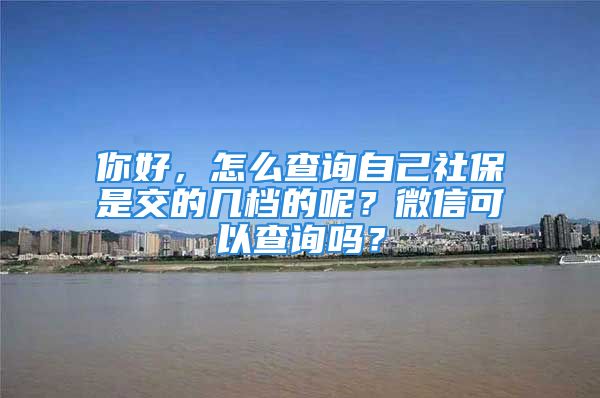 你好，怎么查询自己社保是交的几档的呢？微信可以查询吗？