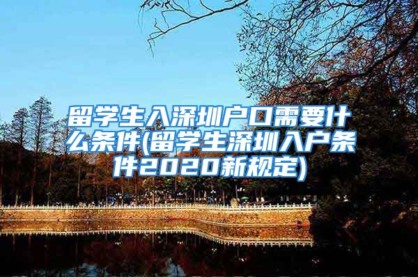 留学生入深圳户口需要什么条件(留学生深圳入户条件2020新规定)