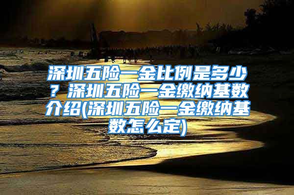 深圳五险一金比例是多少？深圳五险一金缴纳基数介绍(深圳五险一金缴纳基数怎么定)