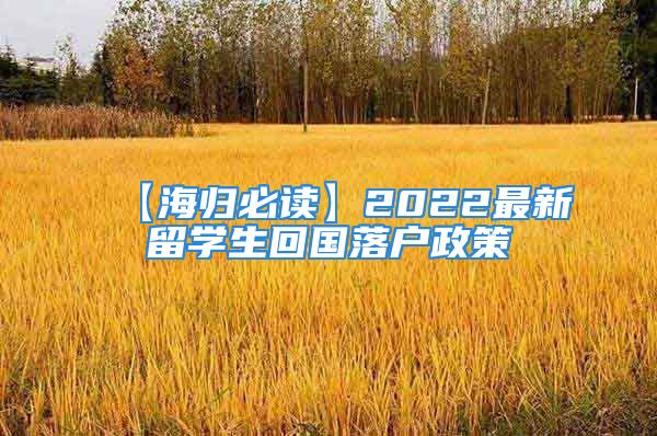 【海归必读】2022最新留学生回国落户政策