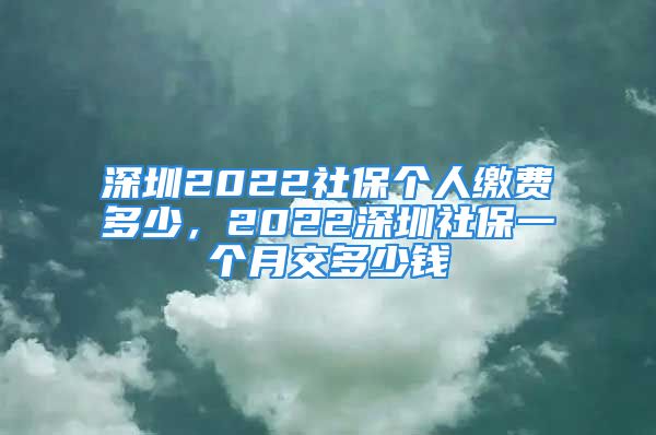 深圳2022社保个人缴费多少，2022深圳社保一个月交多少钱