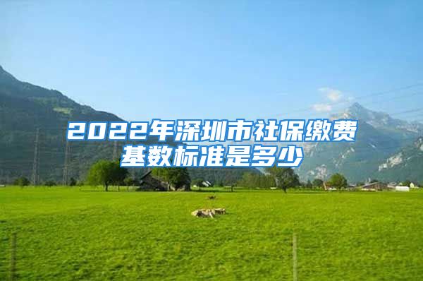 2022年深圳市社保缴费基数标准是多少