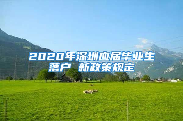 2020年深圳应届毕业生落户 新政策规定