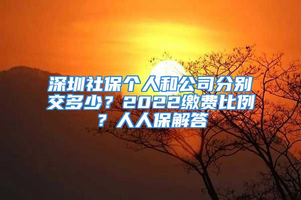 深圳社保个人和公司分别交多少？2022缴费比例？人人保解答