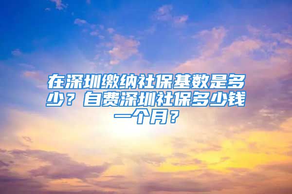 在深圳缴纳社保基数是多少？自费深圳社保多少钱一个月？