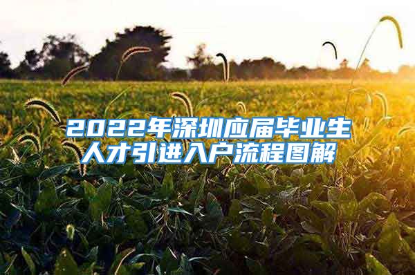 2022年深圳应届毕业生人才引进入户流程图解