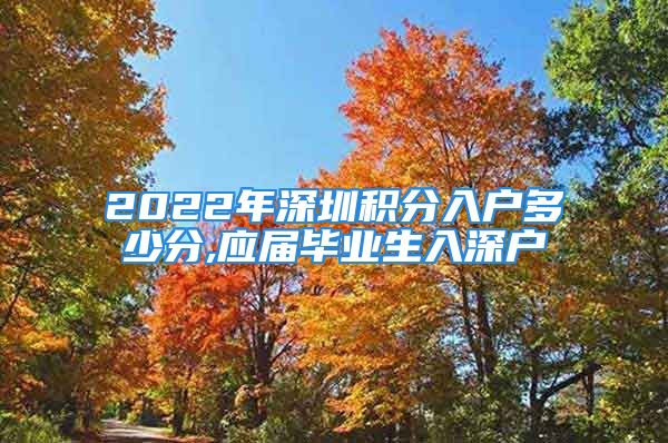 2022年深圳积分入户多少分,应届毕业生入深户