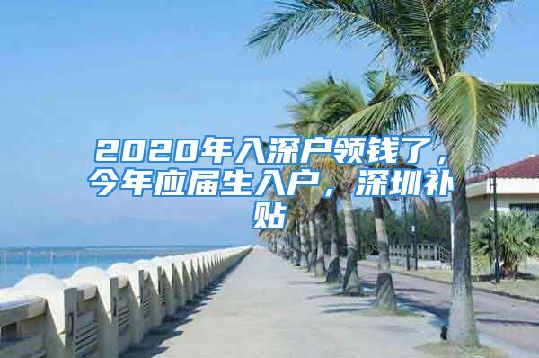 2020年入深户领钱了，今年应届生入户，深圳补贴