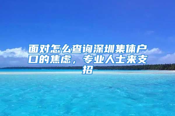 面对怎么查询深圳集体户口的焦虑，专业人士来支招