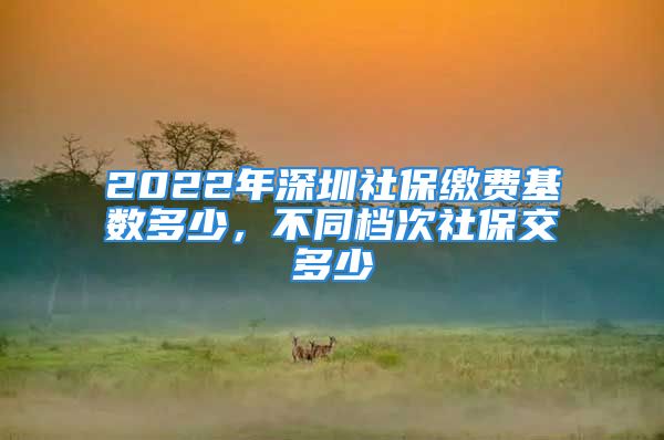 2022年深圳社保缴费基数多少，不同档次社保交多少