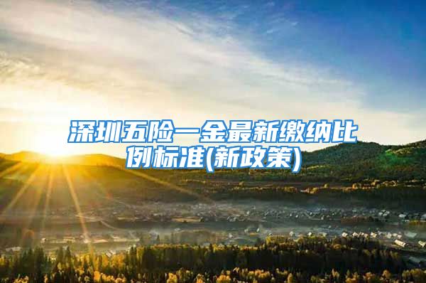 深圳五险一金最新缴纳比例标准(新政策)