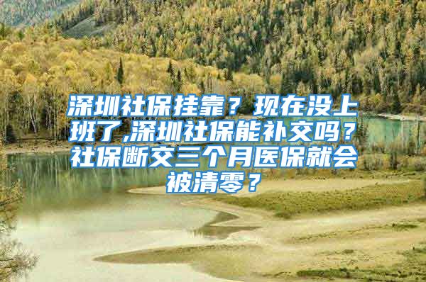 深圳社保挂靠？现在没上班了,深圳社保能补交吗？社保断交三个月医保就会被清零？