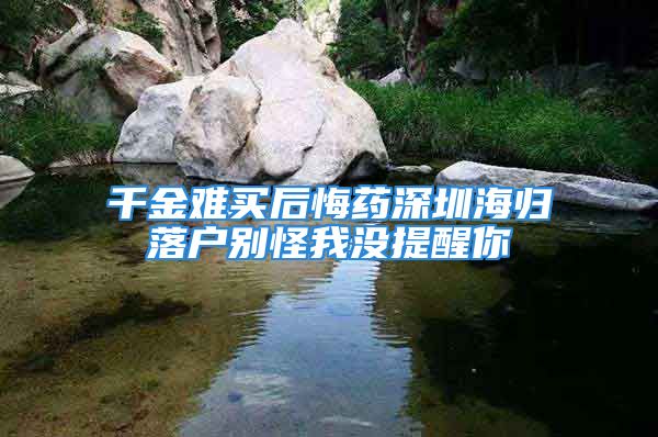 千金难买后悔药深圳海归落户别怪我没提醒你