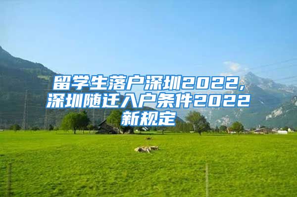 留学生落户深圳2022,深圳随迁入户条件2022新规定