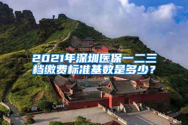 2021年深圳医保一二三档缴费标准基数是多少？