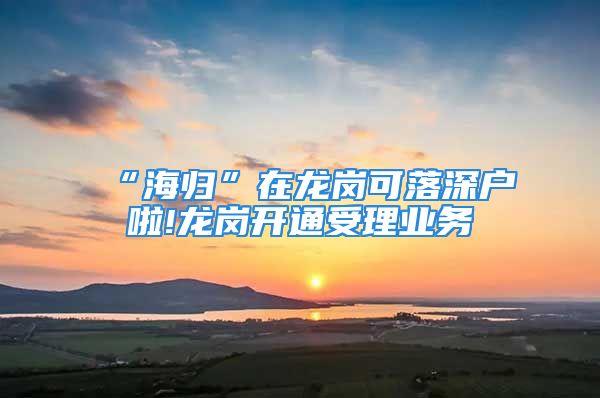 “海归”在龙岗可落深户啦!龙岗开通受理业务