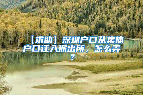 【求助】深圳户口从集体户口迁入派出所，怎么弄？