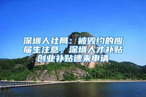 深圳人社局：被毁约的应届生注意，深圳人才补贴创业补贴速来申请