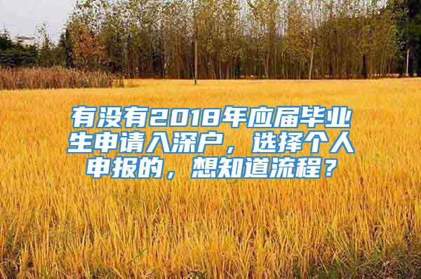 有没有2018年应届毕业生申请入深户，选择个人申报的，想知道流程？