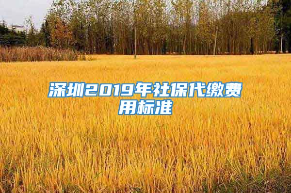 深圳2019年社保代缴费用标准