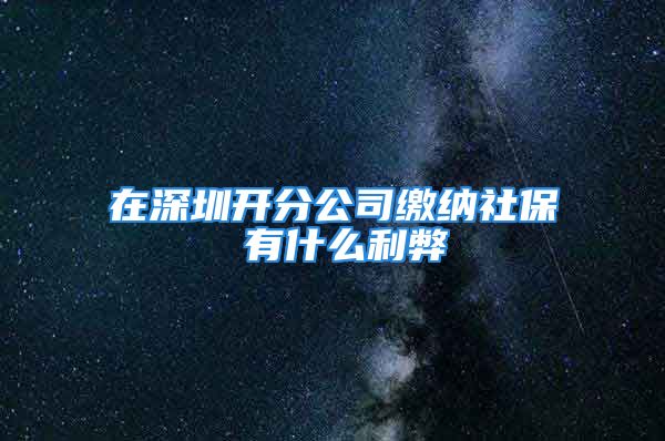 在深圳开分公司缴纳社保 有什么利弊