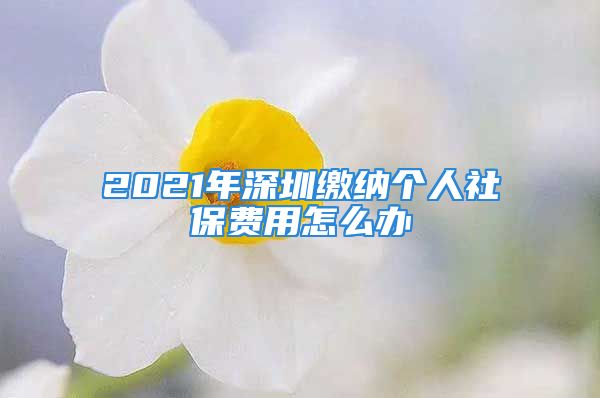 2021年深圳缴纳个人社保费用怎么办