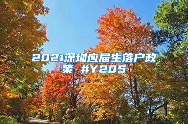 2021深圳应届生落户政策 #Y205