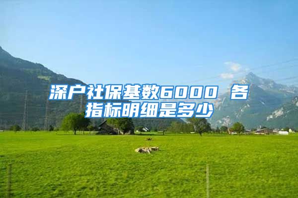 深户社保基数6000 各指标明细是多少