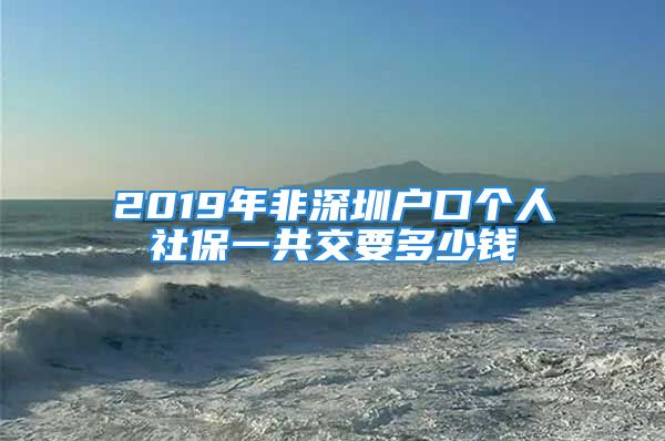 2019年非深圳户口个人社保一共交要多少钱