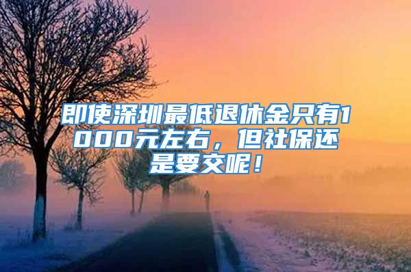 即使深圳最低退休金只有1000元左右，但社保还是要交呢！