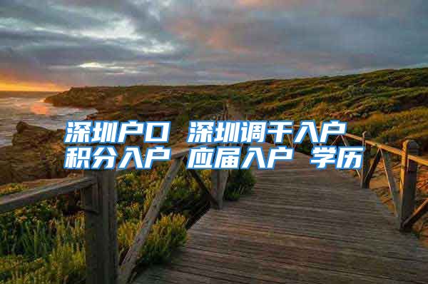 深圳户口 深圳调干入户 积分入户 应届入户 学历