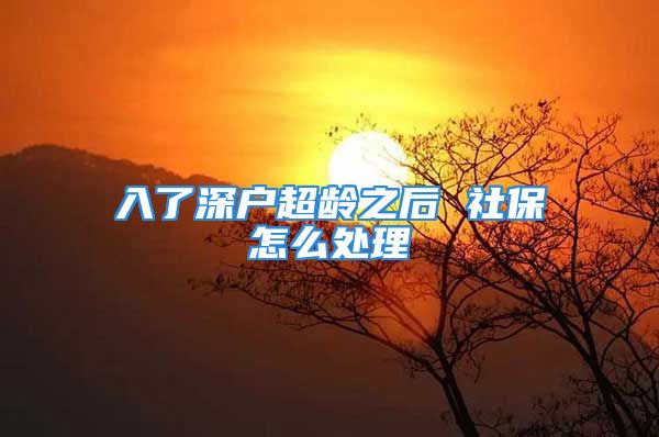 入了深户超龄之后 社保怎么处理