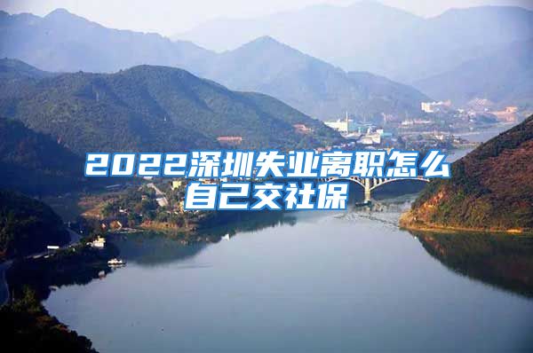 2022深圳失业离职怎么自己交社保