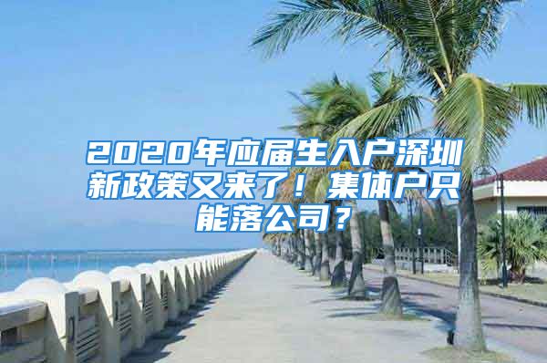 2020年应届生入户深圳新政策又来了！集体户只能落公司？