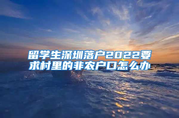 留学生深圳落户2022要求村里的非农户口怎么办