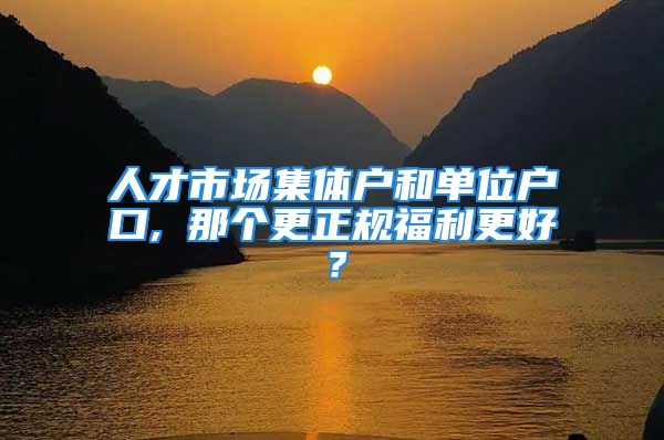 人才市场集体户和单位户口, 那个更正规福利更好？