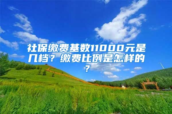 社保缴费基数11000元是几档？缴费比例是怎样的？