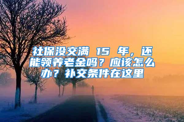 社保没交满 15 年，还能领养老金吗？应该怎么办？补交条件在这里