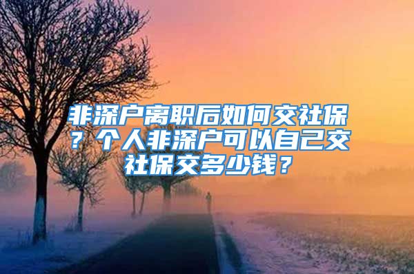 非深户离职后如何交社保？个人非深户可以自己交社保交多少钱？