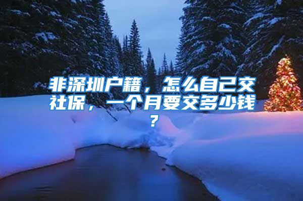 非深圳户籍，怎么自己交社保，一个月要交多少钱？