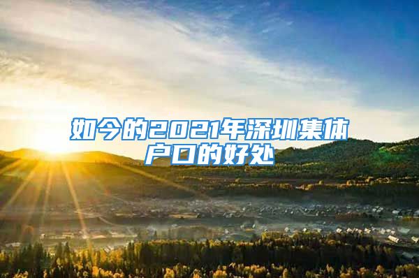 如今的2021年深圳集体户口的好处