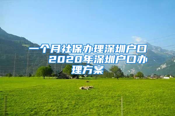 一个月社保办理深圳户口   2020年深圳户口办理方案