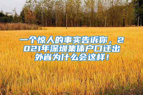 一个惊人的事实告诉你，2021年深圳集体户口迁出外省为什么会这样！