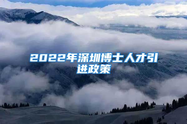 2022年深圳博士人才引进政策