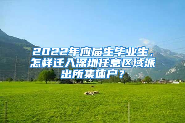 2022年应届生毕业生，怎样迁入深圳任意区域派出所集体户？