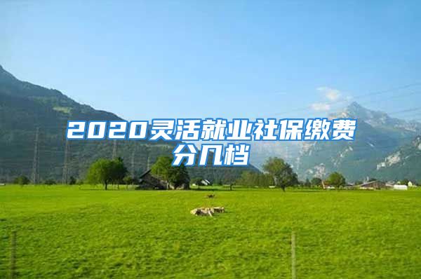 2020灵活就业社保缴费分几档