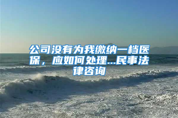 公司没有为我缴纳一档医保，应如何处理...民事法律咨询