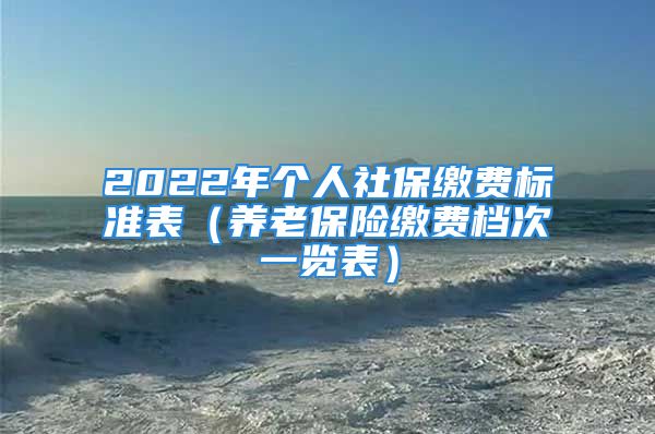 2022年个人社保缴费标准表（养老保险缴费档次一览表）